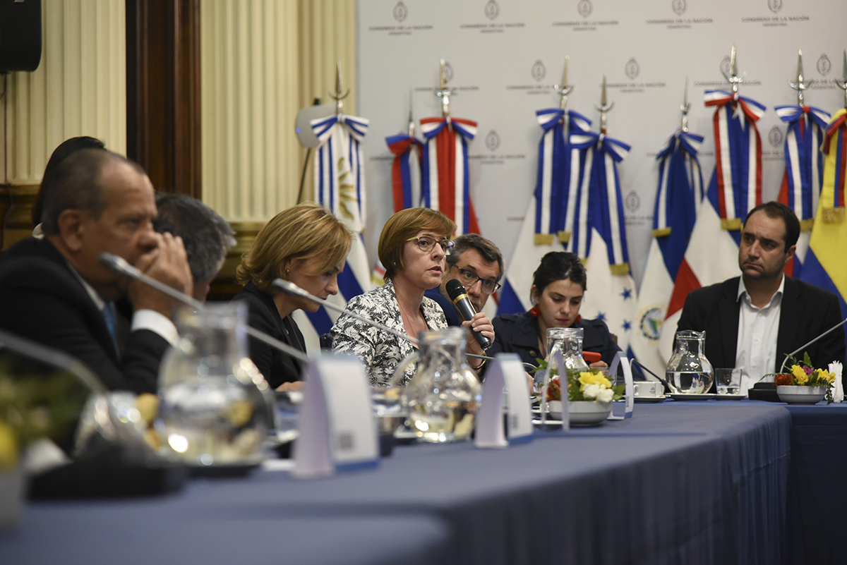 Concluyeron las Reuniones de Comisiones del Parlatino en el Congreso