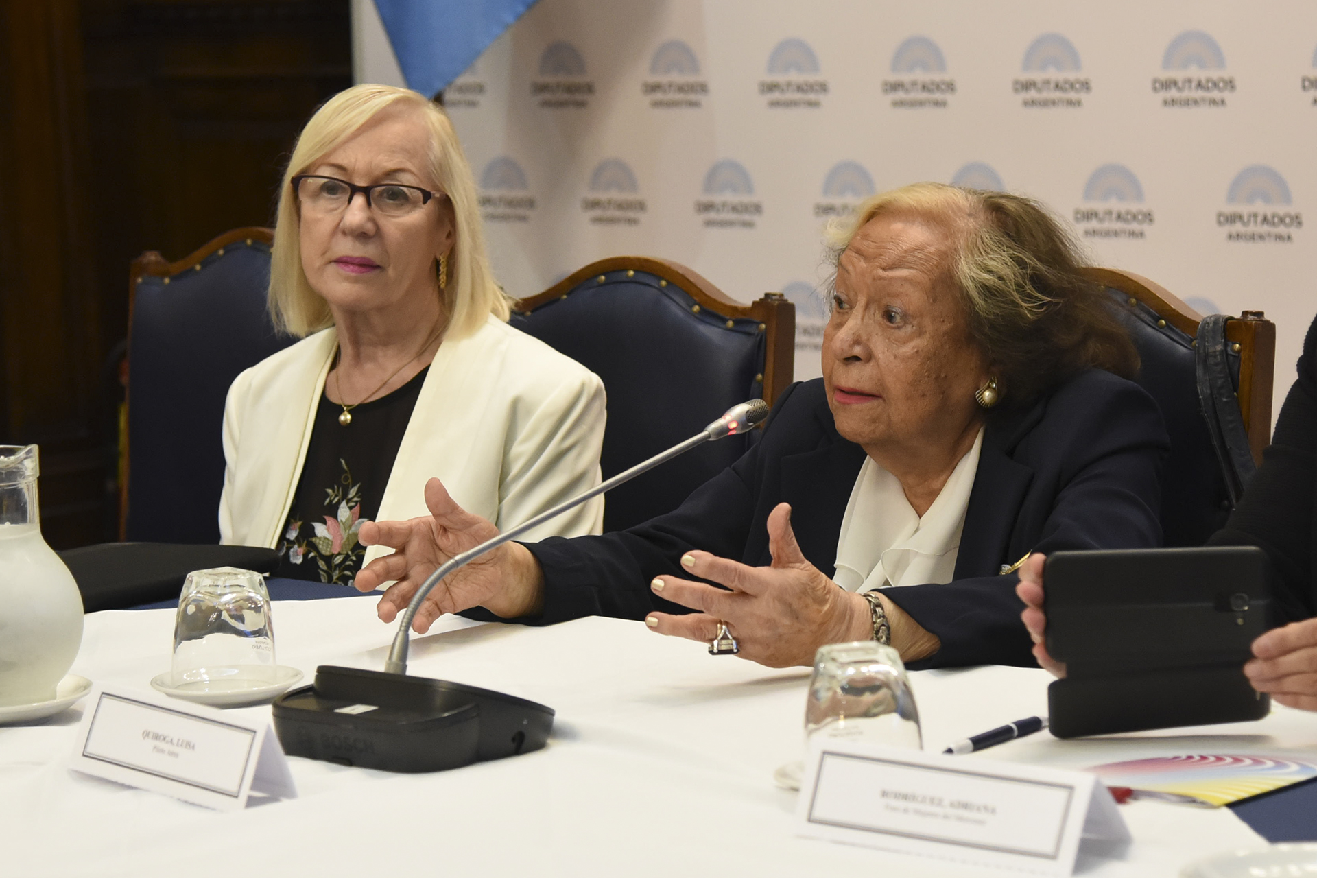 Mujeres, diplomacia y liderazgo, ejes de un Seminario en la H. Cámara de Diputados de la Nación