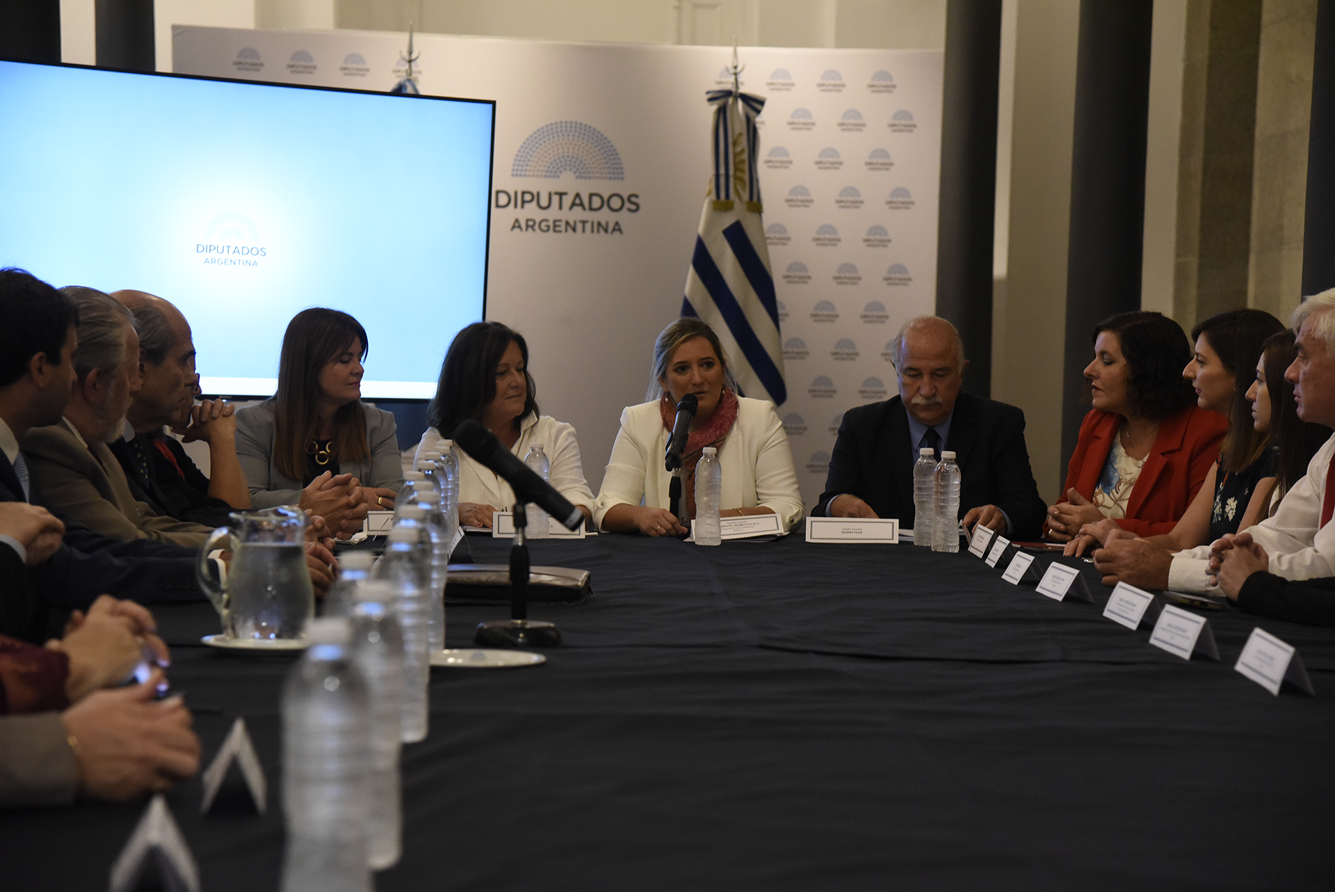 Visita de una delegación uruguaya a la H. Cámara de Diputados de la Nación