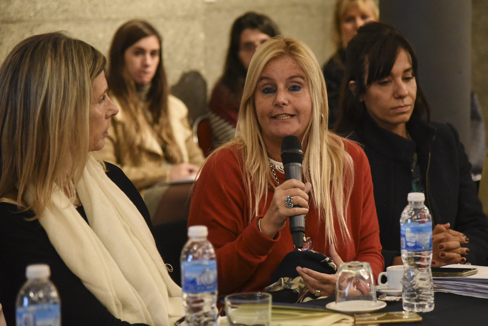 Jornada sobre Objetivos de Desarrollo Sostenible y Familia en la H. Cámara de Diputados