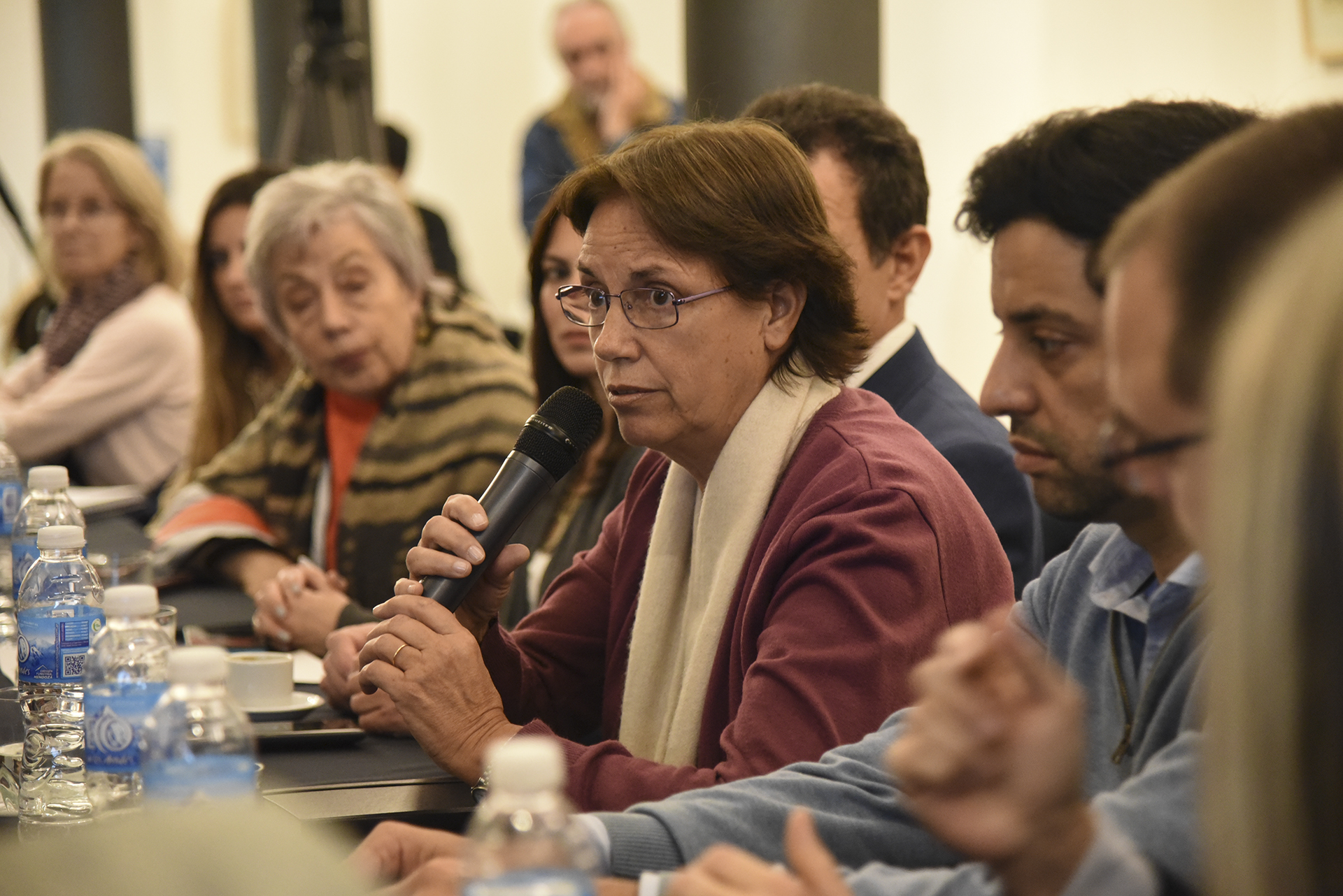 Jornada sobre Objetivos de Desarrollo Sostenible y Familia en la H. Cámara de Diputados