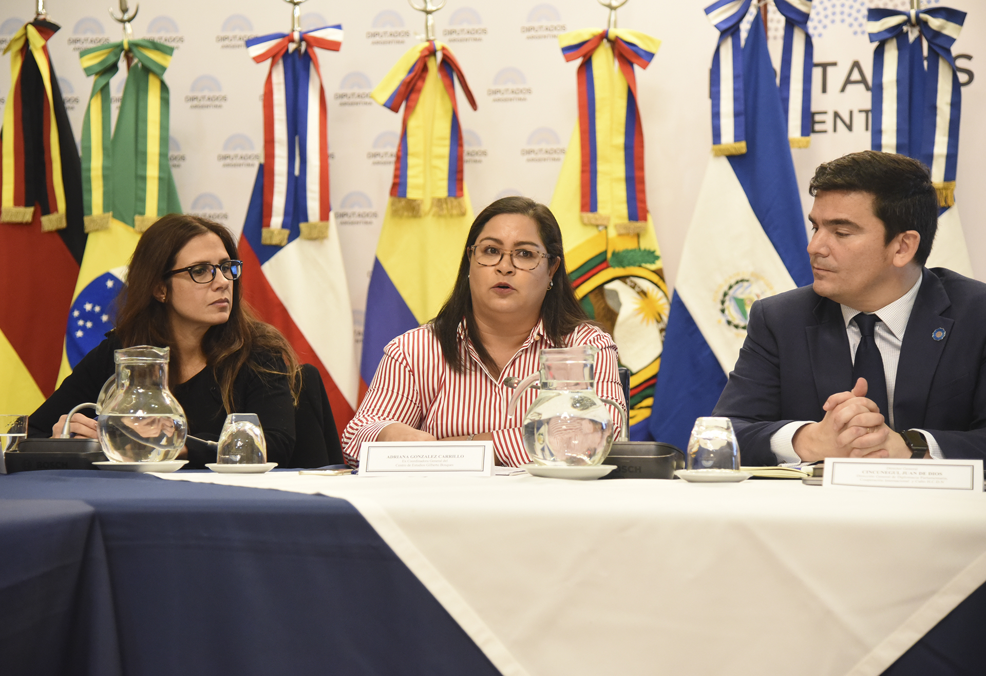 III Foro sobre Diplomacia Parlamentaria y Relaciones Internacionales en la HCDN