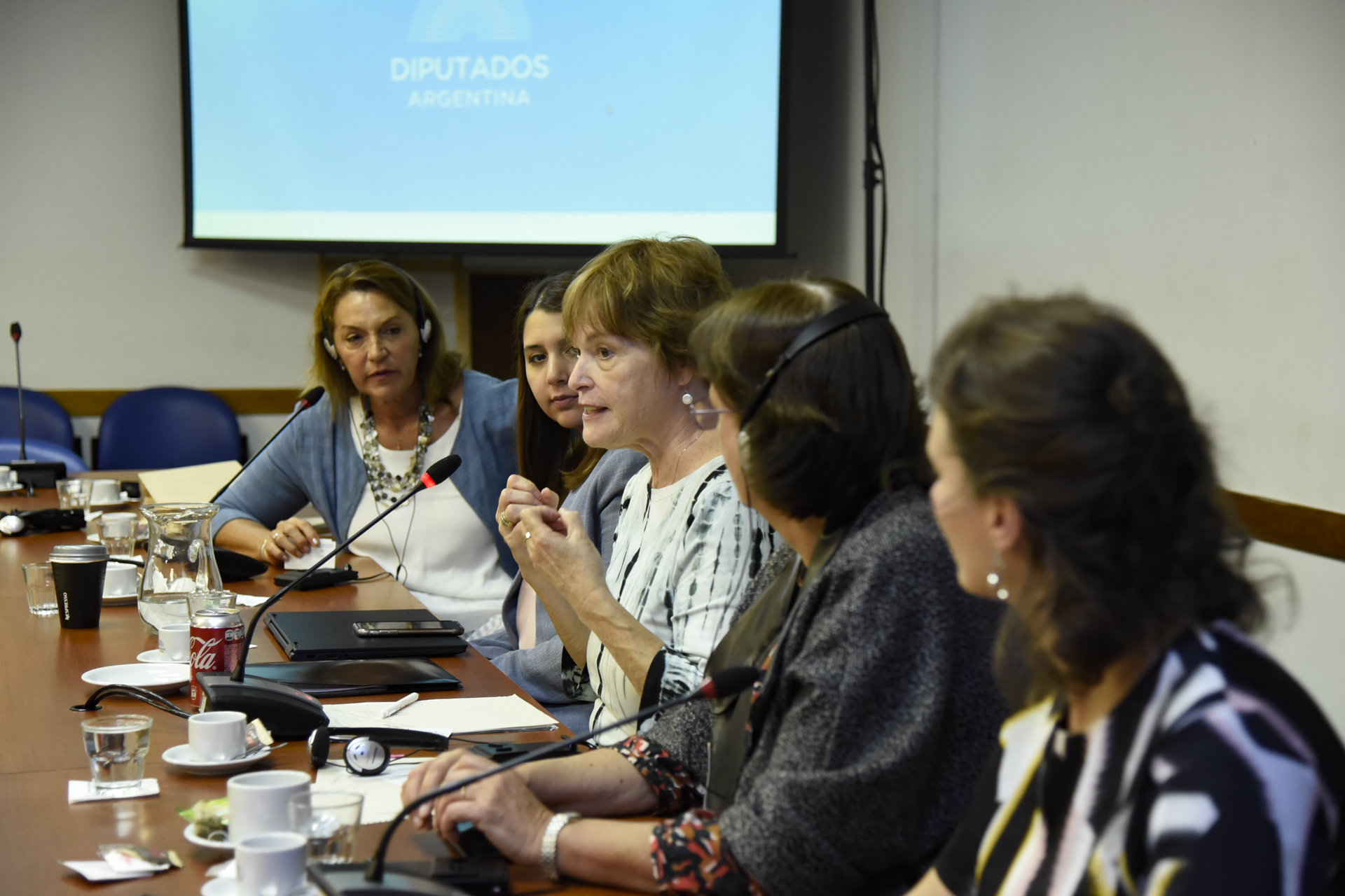 La HCDN dialogó con una referente estadounidense sobre los derechos de la mujer