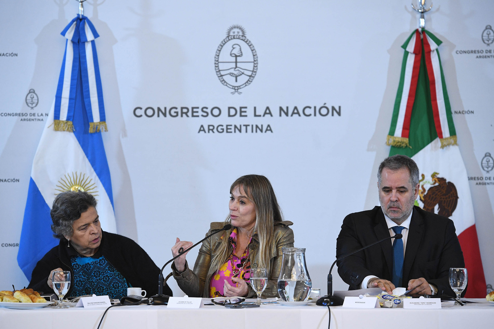 Se realizó la VI Reunión de la Comisión Interparlamentaria Argentino-Mexicana