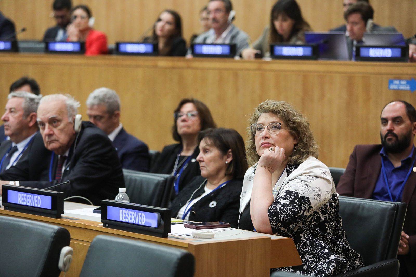 Causa Malvinas: Delegación multipartidaria en la reunión del Comité de Descolonización en Naciones Unidas